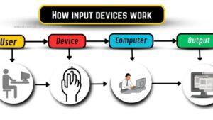 Input Devices
