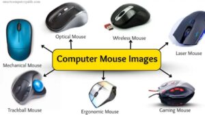 Computer Mouse Types: Features, Names, and Uses