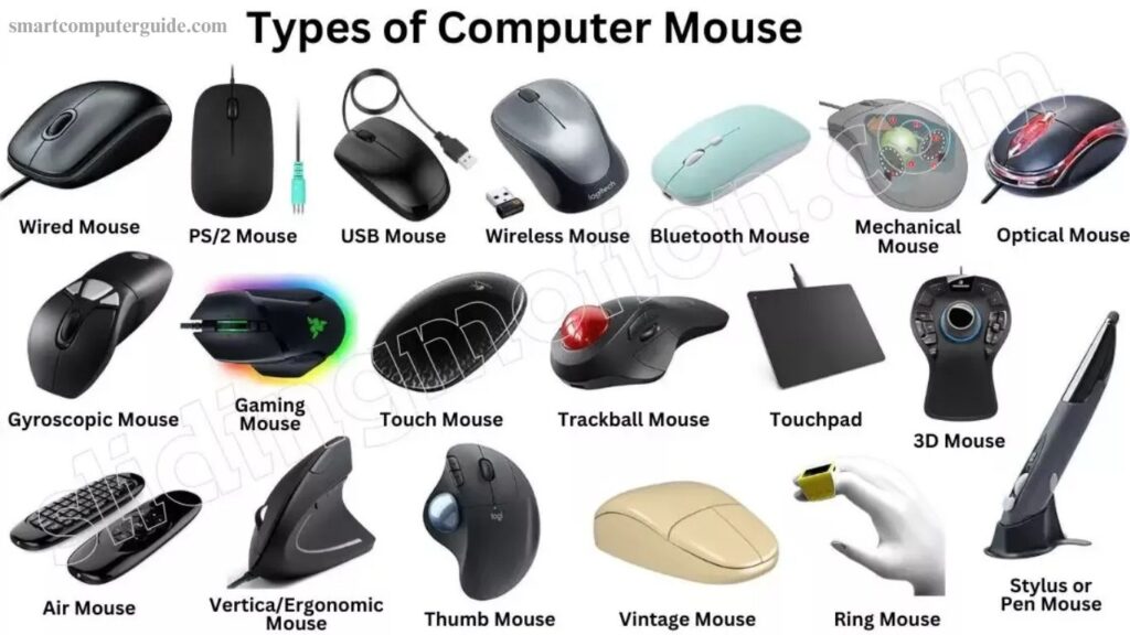 Types and Uses of Computer Mouse