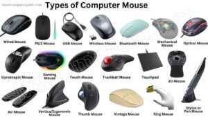 Types and Uses of Computer Mouse